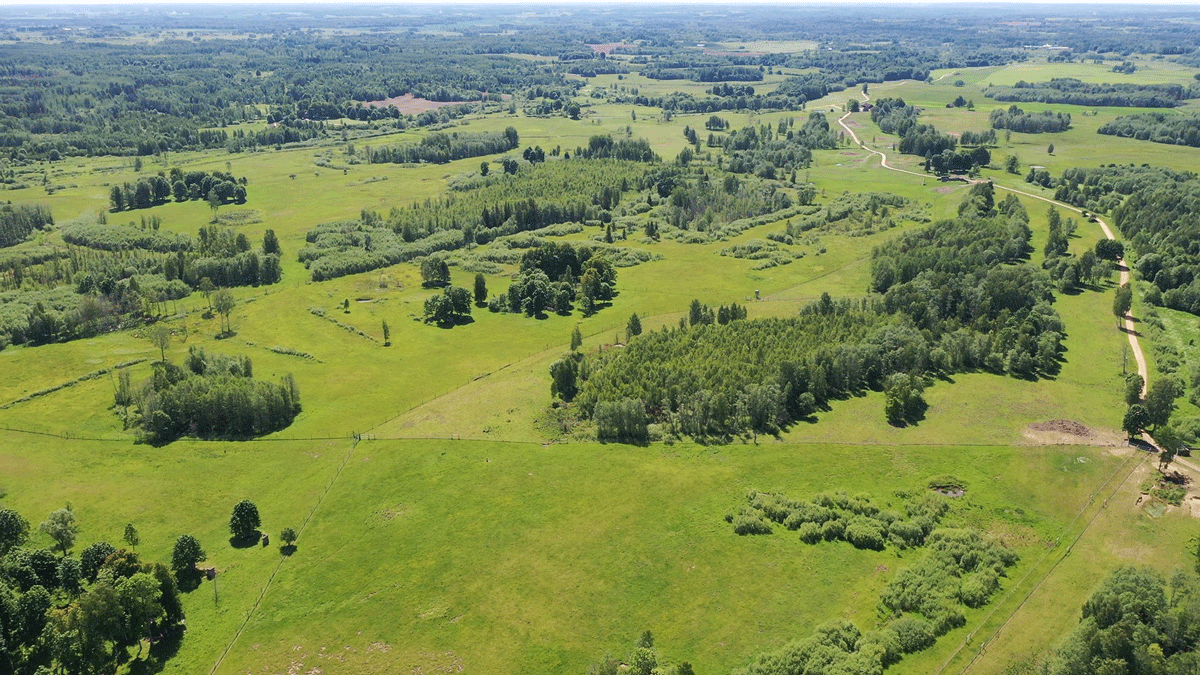 Latvia-afforestation.png